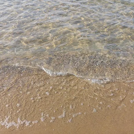 Guest Rusalka Апартамент Свети Влас